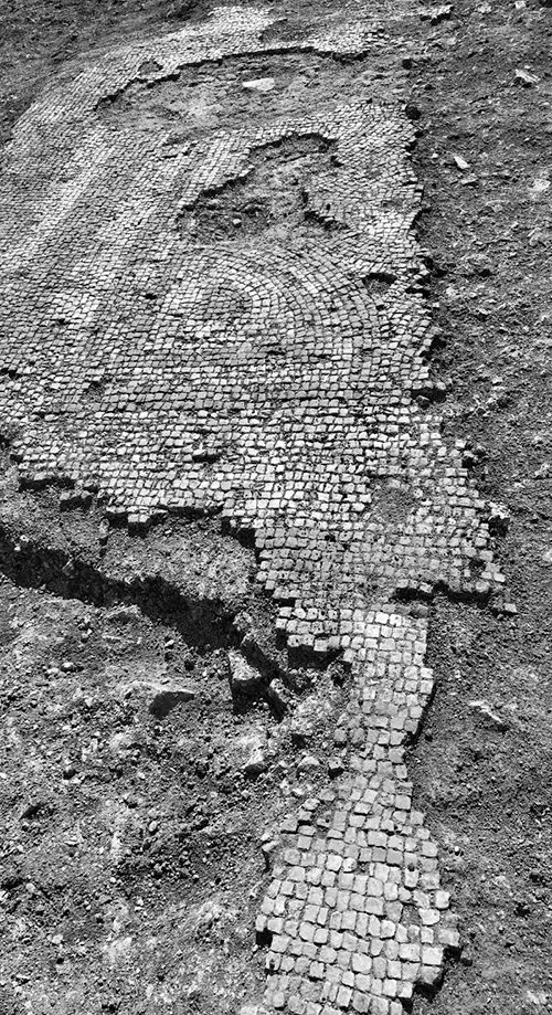 Partial mosaic with patterns, made of tiny tiles, surrounded by soil.