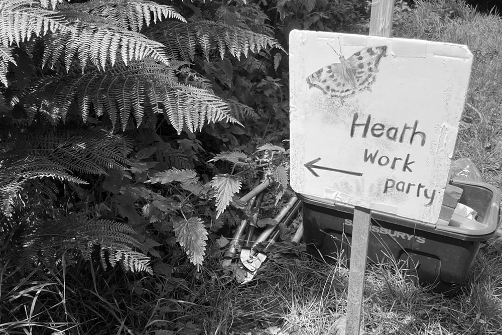 Handwritten sign saying 'Heath work party' with an arrow and a drawing of a comma butterfly.