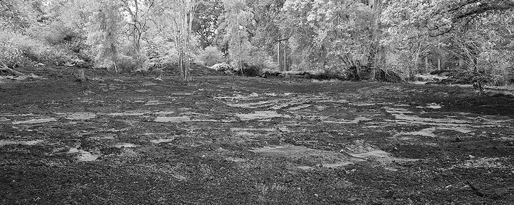 Flat area of dark earth or mud with trees in the background.